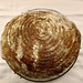 Bread, Spelt Sourdough, Rosemary, Poppy, pumpkin, and Pecans