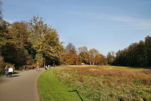 Rombergpark, Dortmund-Brünninghausen / 8.11.2020