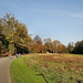 Rombergpark, Dortmund-Brünninghausen / 8.11.2020