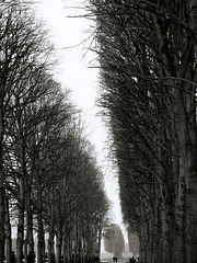 Versailles 2