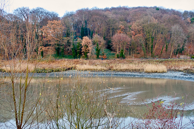 -wasserbecken-02131-co-04-12-16