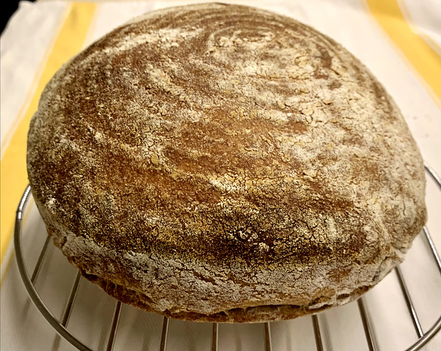 Bread, Spelt Sourdough, Rosemary, Poppy, pumpkin, and Pecans