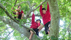 Three Boys In A Tree.