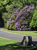 Christie Park