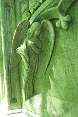 arnos vale cemetery (76)