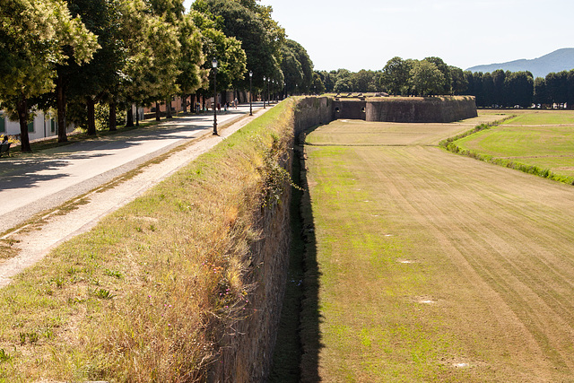 The walls of Lucca