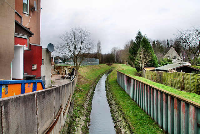 Dattelner Mühlenbach (Datteln) / 5.01.2018