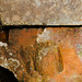 Bricks in a Bird Bath (Helios-44) No. 2