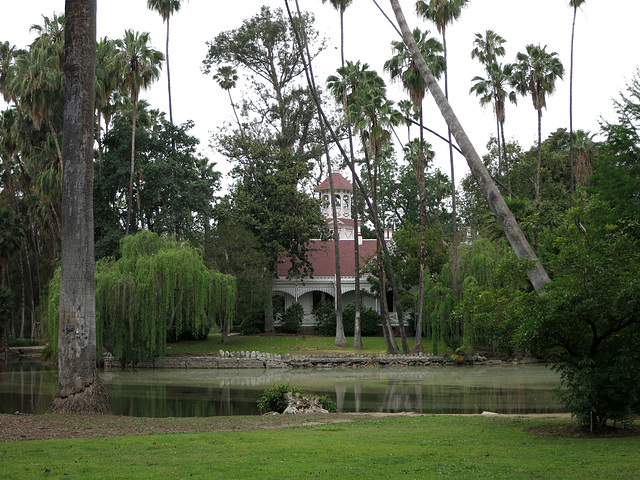 L.A. County Arboretum (1031)