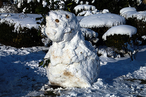 Le scoop du jour , un bonhomme de neige