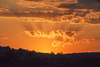 DSC 5542
