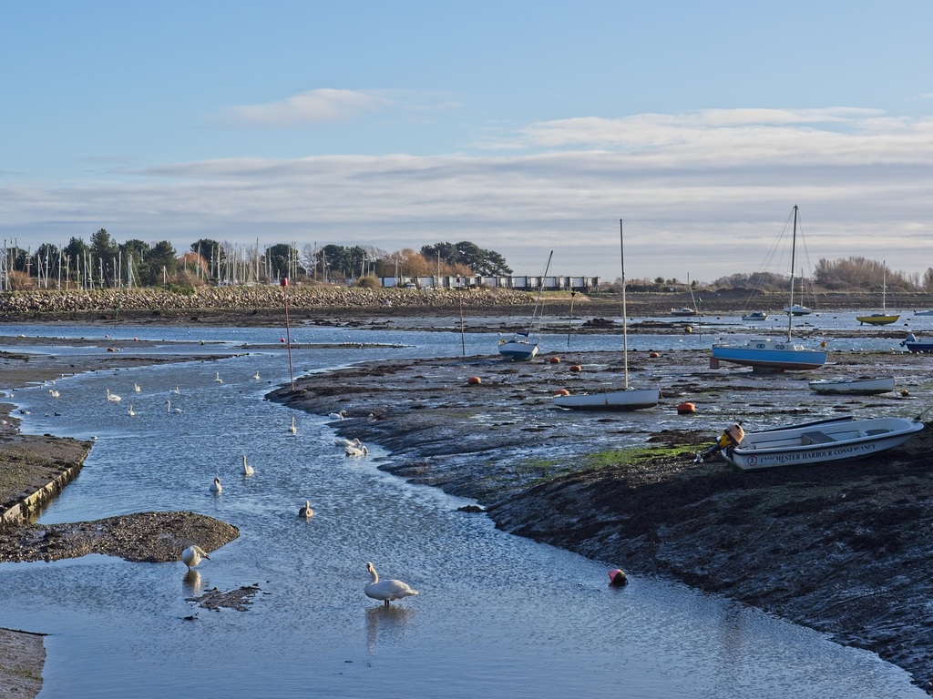 Low Tide