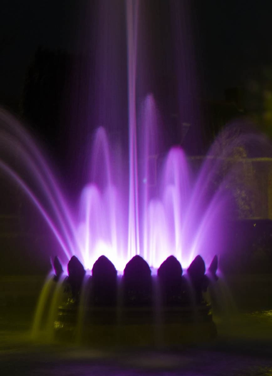 Jan 24: fountain