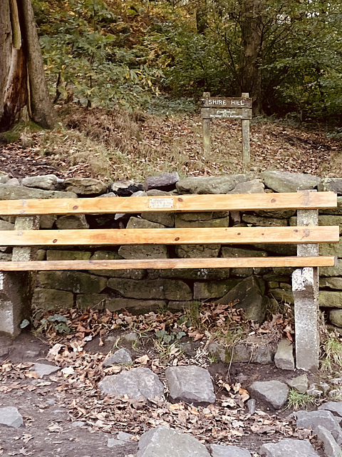 A repaired bench