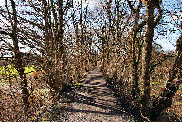 Auf dem Bahndamm der ehem. Harkort'schen Kohlenbahn (Gevelsberg-Silschede) / 25.02.2023