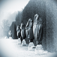 Versailles 6