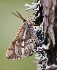P5260090