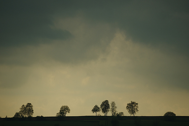 Frühling im Randgebiet Frühling im Randgebiet