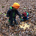 Boys feeding animals