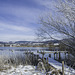 Winter am Pfäffikersee ZH (© Buelipix)