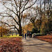 Herbst im Rombergpark (Dortmund-Brünninghausen) / 8.11.2020