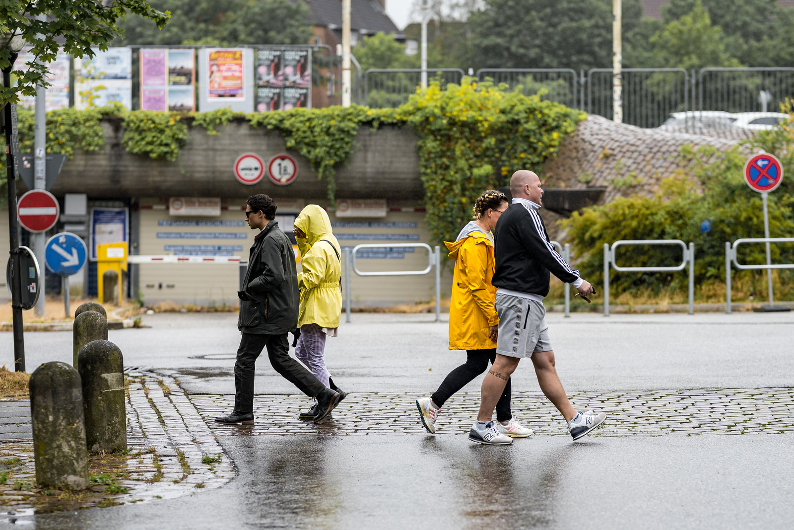 A touch of yellow on a rainy day (01.07.2023)