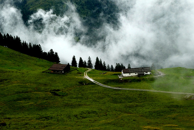 Pölcher Alm über den Wolken