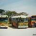 72 Buses at the San Ignacio Terminal