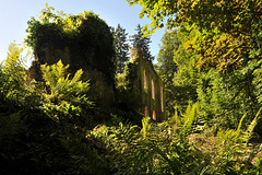 Ruines de l'Abbaye Notre-Dame du Val - Val-d'Oise