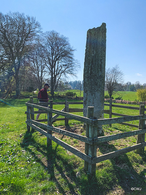 The ancient standing stone on the Altyre estate