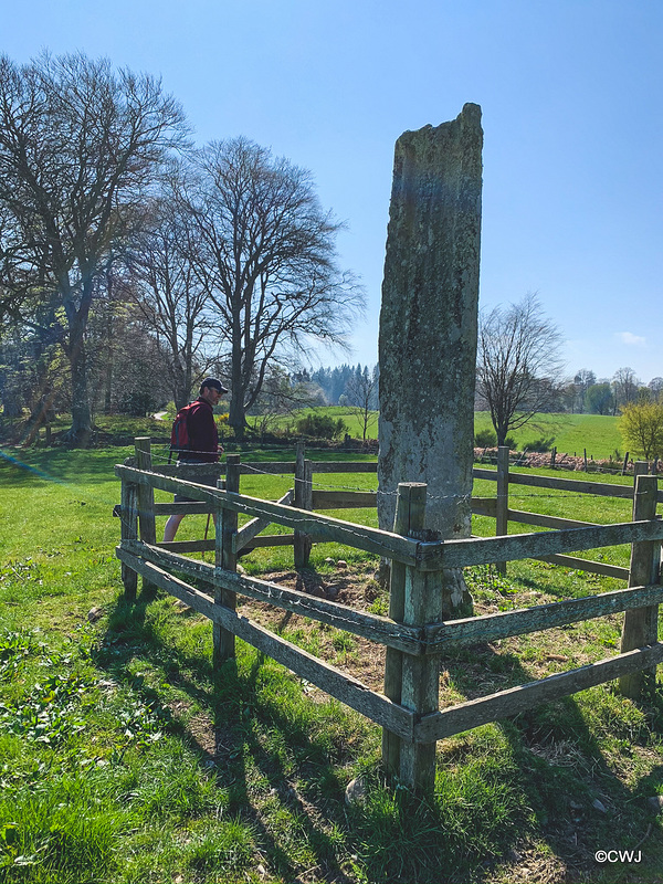 The ancient standing stone on the Altyre estate