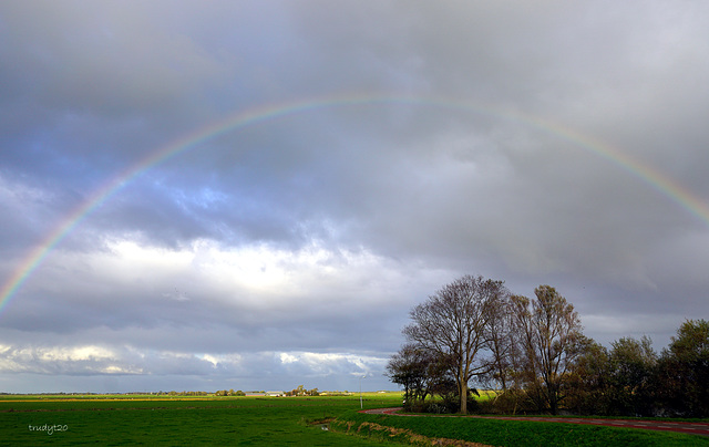 regenboog