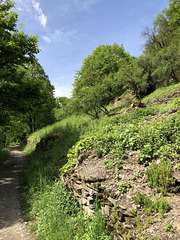 DE - Altenahr - Im Langfigtal