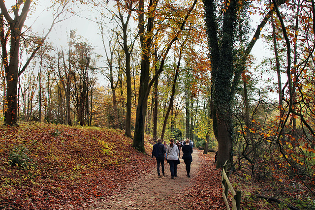 Rombergpark, Dortmund-Brünninghausen / 8.11.2020