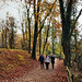 Rombergpark, Dortmund-Brünninghausen / 8.11.2020