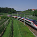 BÖ0029406