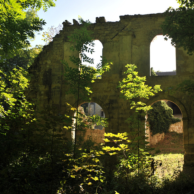 Ruines de l'Abbaye Notre-Dame du Val - Val-d'Oise