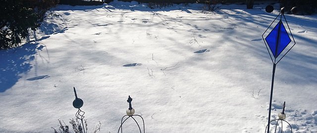 Wer macht solche Spuren im Schnee?