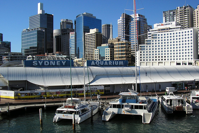 Sydney Aquarium