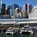 Sydney Aquarium