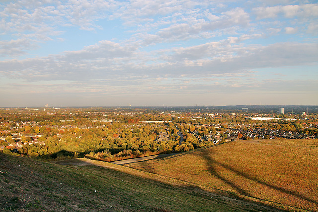 Aussicht von der Halde Hoheward Richtung Osten (Herten) / 15.10.2018