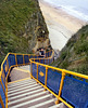 Marsden Grotto staircase: HFF