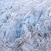 Exit Glacier