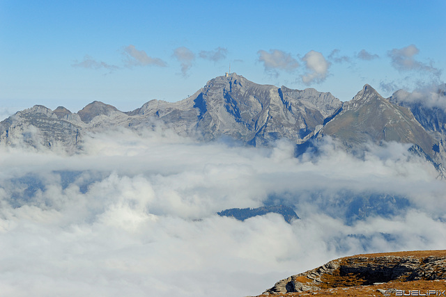 auf dem Chäserrugg - Blick zum Säntis (© Buelipix)