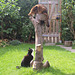 Rags and Snow White playing on stump, 3