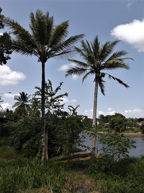 Ambiance panaméenne