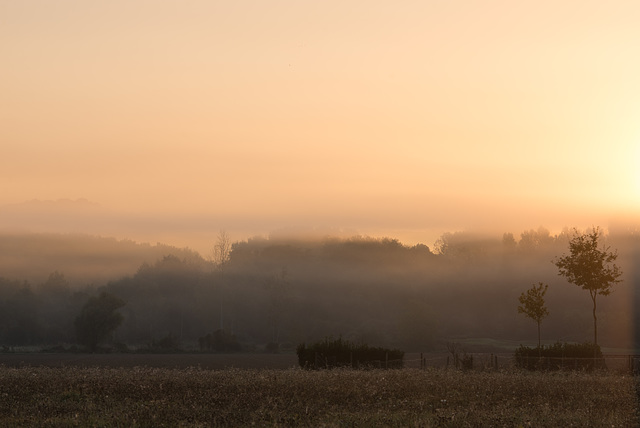 Matin brumeux