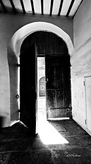 Gegenlicht