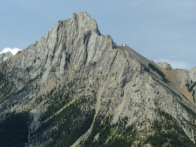 Drive-by shot of Kananaskis