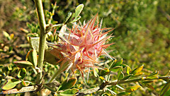 DSCF9976++++